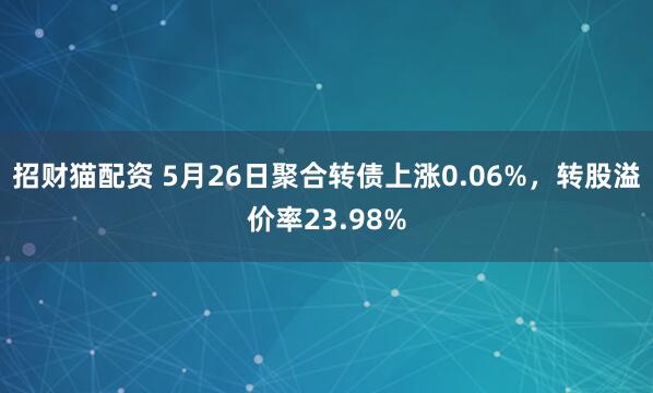 招财猫配资 5月26日聚合转债上涨0.06%，转股溢价率23.98%