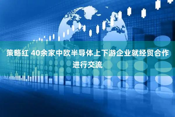 策略红 40余家中欧半导体上下游企业就经贸合作进行交流