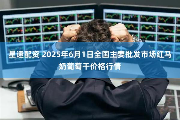 星速配资 2025年6月1日全国主要批发市场红马奶葡萄干价格行情