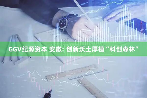 GGV纪源资本 安徽: 创新沃土厚植“科创森林”