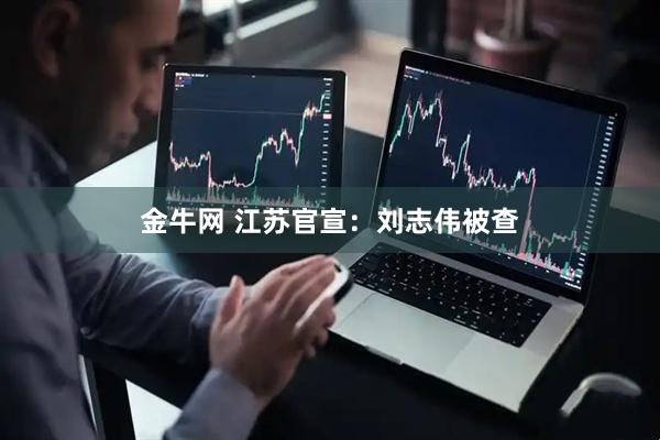 金牛网 江苏官宣：刘志伟被查