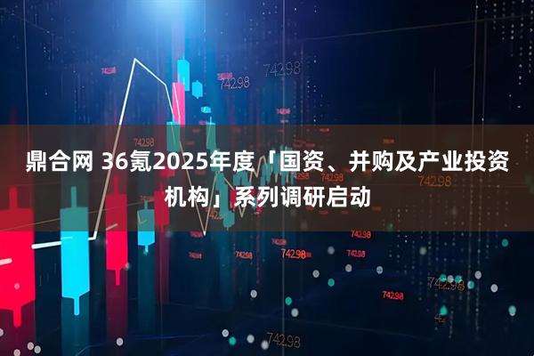 鼎合网 36氪2025年度「国资、并购及产业投资机构」系列调研启动