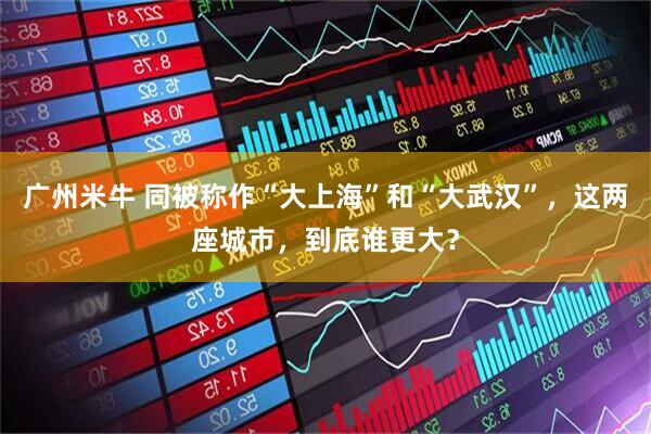 广州米牛 同被称作“大上海”和“大武汉”，这两座城市，到底谁更大？
