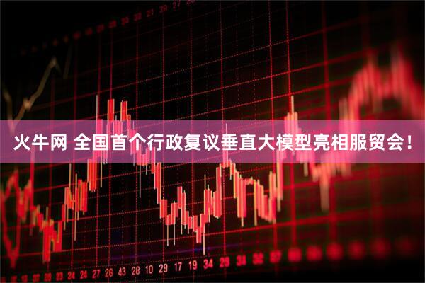 火牛网 全国首个行政复议垂直大模型亮相服贸会！