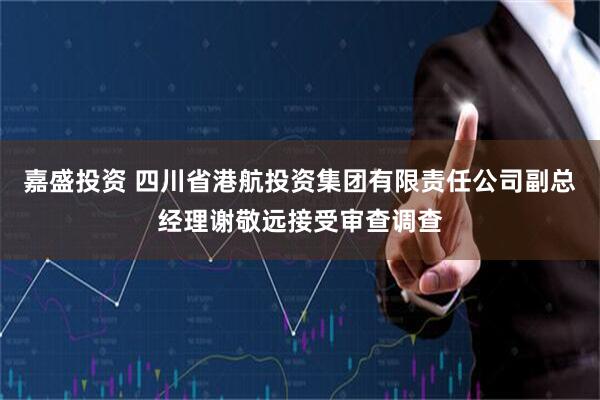 嘉盛投资 四川省港航投资集团有限责任公司副总经理谢敬远接受审查调查